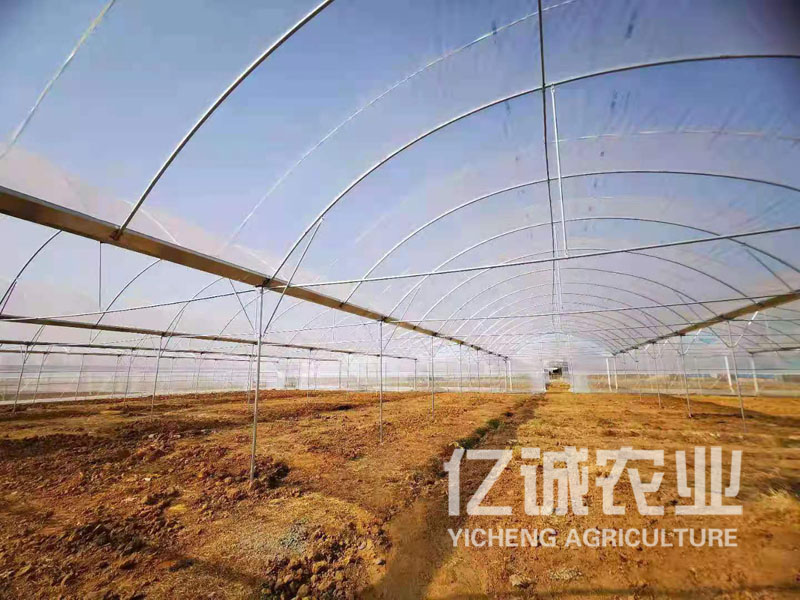新型pc板智能溫室報價各種設備都應該具有規(guī)定的耐久性