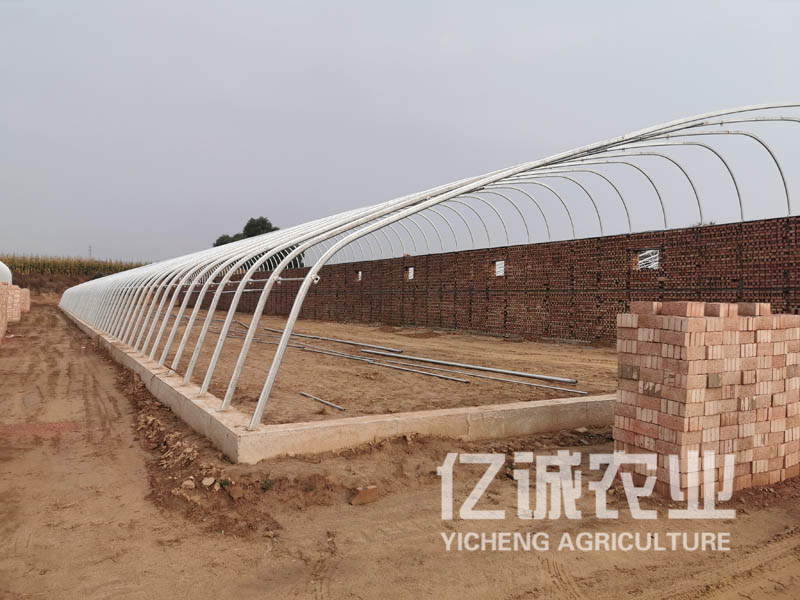 溫室大棚建設廠家