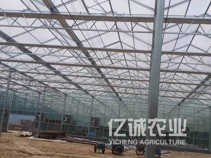 智能蔬菜溫室大棚結(jié)束了中國北方到了冬天就只能靠蘿卜、白菜生活的日子