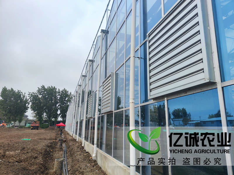 現(xiàn)代化智能溫室大棚建設