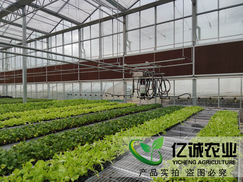 現(xiàn)代化智能溫室大棚如何建造？智能化連棟溫室大棚多少錢一個(gè)平方？