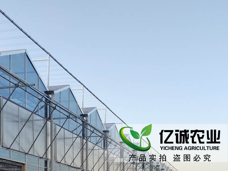玻璃溫室每平方米報(bào)價(jià)多少？現(xiàn)代化智能溫室大棚造價(jià)？