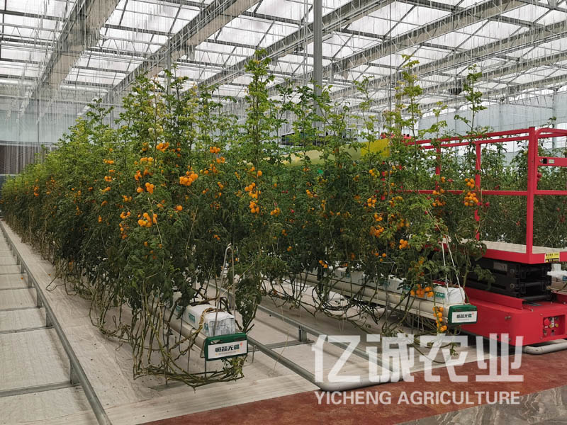 青州溫室大棚建設(shè)哪家好？