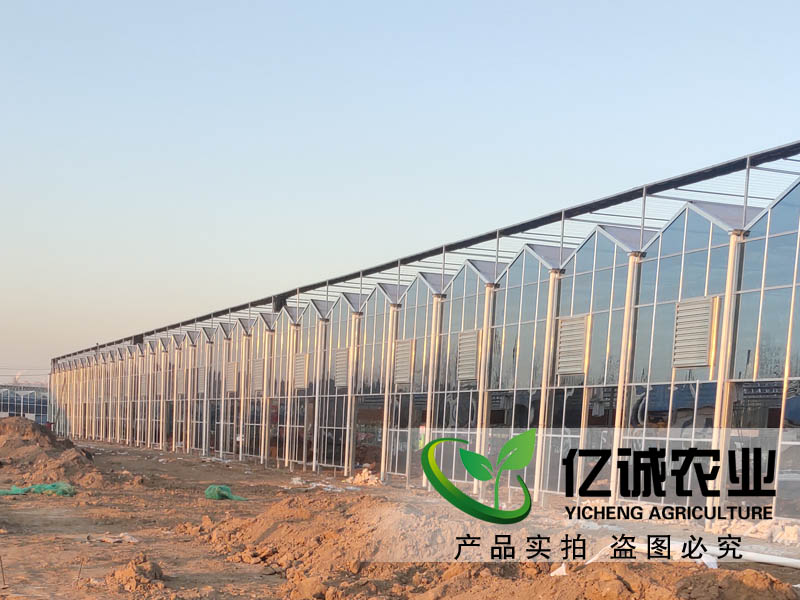 建一畝地溫室大棚多錢？用什么材料比較好？