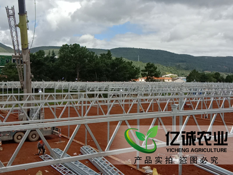 青州玻璃溫室大棚哪家建的比較專業(yè)？性價(jià)比高？