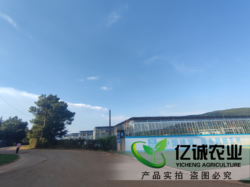 什么樣的溫室大棚可以改造為智能溫室？智能溫室玻璃大棚工程優(yōu)勢