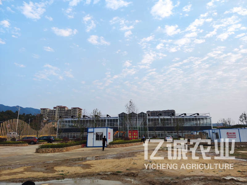 現(xiàn)代化連棟溫室大棚建設(shè)有補(bǔ)貼嗎？連溫室大棚造價(jià)多少一畝