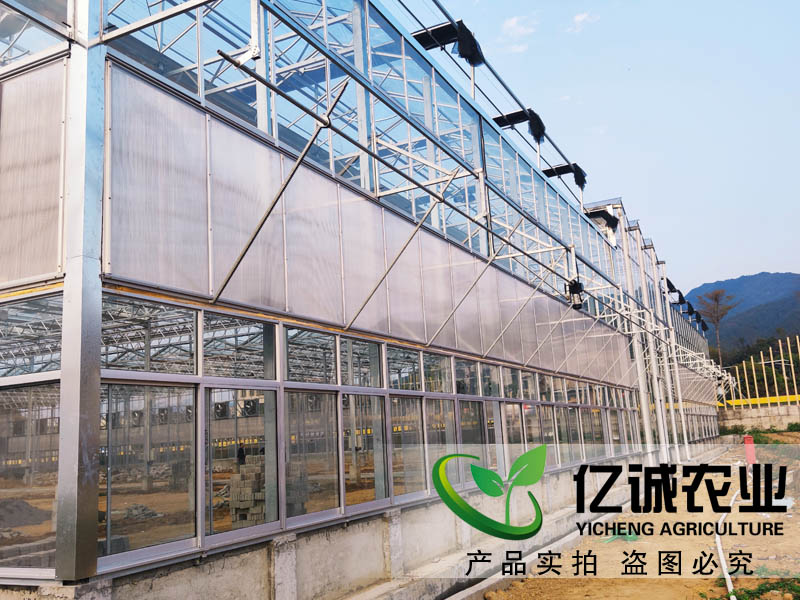 玻璃溫室大棚造價(jià)多少錢一畝？玻璃連棟溫室大棚價(jià)格高不高？