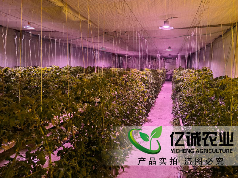蔬菜大棚造價(jià)是如何計(jì)算的？