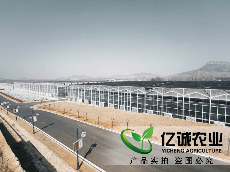 連棟溫室大棚水槽內(nèi)為什么會(huì)積水？億誠教您這樣做