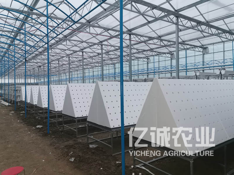 薯類(lèi)作物的溫室大棚怎么建設(shè)？造價(jià)高不高？